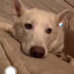 Hope Greene - @hope.greene.94402 - Instagram