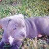 hope greer - @hope_greer1740 - TikTok