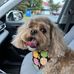 Hope Griffin - Facebook
