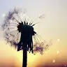 hope griffith - @hopegriffith08 - TikTok