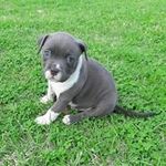 Hope Gutierrez - @hopegutierrez2104 - Instagram