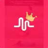 Musicaly - @_hacketthope_ - TikTok