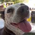 Hope Halstead - Facebook
