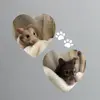 hope4hammies - @hope4hammies - TikTok