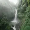 Hope Hammonds - @hopehammonds465 - TikTok
