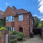 Hopes Under The Hammer - @hopesunderthehammer - Instagram