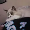 Hope Haney - @hope.haney - TikTok