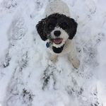 @hope_hawk - Instagram