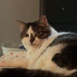 Hope Haynes - @hopehaynes78 - Instagram