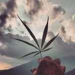@__hope_head__ - Instagram