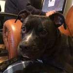 Hope Head - @hopey_dope - Instagram