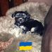 Hope Heck - Facebook