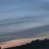 Myleihedges - @mylei_hope_hedges - TikTok