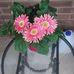Hope Hedrick - Facebook