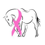 Hope Held by a Horse / Equine Therapy Nonprofit - @hopeheldbyahorse - Instagram