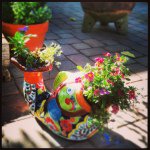 Hope Helms - @helmsacre - Instagram