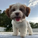 Hope Lane Helms - @mhhelms4 - Instagram