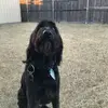 hope hendrix - @cutie050882 - TikTok