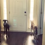 Hope & Henley Sowards - @atailoftwosowards - Instagram