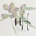 Hope Herbert Watercolour Art - Facebook