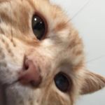 Hope Hesseltine - @hopehesspam - Instagram