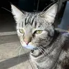 hope_hodges - @hope_hodges1 - TikTok