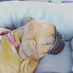 Aliyah Hope Faith Hogan - @little_aliyah7 - Instagram