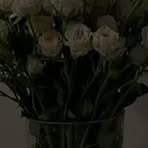 Hodan Happy - Facebook