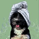 Hope Hogan - @hopesdogspa - Instagram