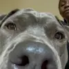 Hey girl hey hey boy hey - @hope.holmes66 - TikTok