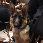 Hope Mikaelson - @hope_hookah - Instagram