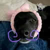 Hope + Hopper - @hopperisacutiepatootie1 - TikTok