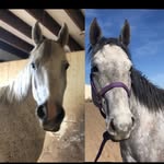 Hope and hopper - @hope_and_hopper - Instagram