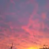 hope - @hopehopper33 - TikTok