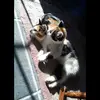 Hope - @hopehopper8 - TikTok