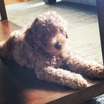 Hope - @hope_horton_ - Instagram