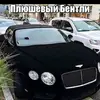 Hope Human - @hope.human - TikTok