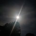Hope Ingle - @hop_e_xists - Instagram