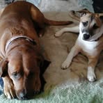 Hope Irvin - Facebook