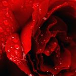 Hope Irvin - @hope.2654 - Instagram