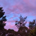 Hope Irwin - @hopeirwin4 - Instagram