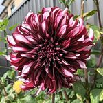 Hope Irwin - @hopestar18 - Instagram