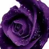 hopemisom - @hope.m.isom - TikTok