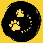 HOPE IS ON !! - @hope.is.on - Instagram