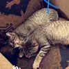 hope.jacobs - @hope.jacobs - TikTok