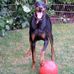 Hope Jacobson - Facebook