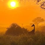 Hope Johnson Photography - @hope_johnson_photos - Instagram