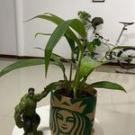 Hope Kahn - @hopekahn5 - Instagram