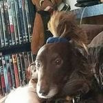 Hope Kenney - @kenney_hope - Instagram