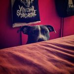 Hope Kenney - @hopekenney1 - Instagram